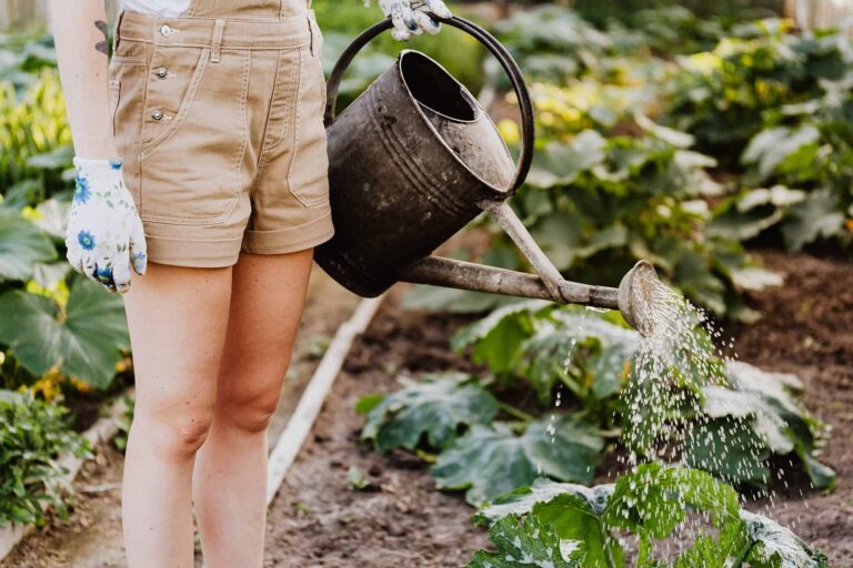 Vegetable Gardening: Smart Techniques for Plentiful Results